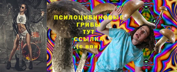 таблы Михайловск