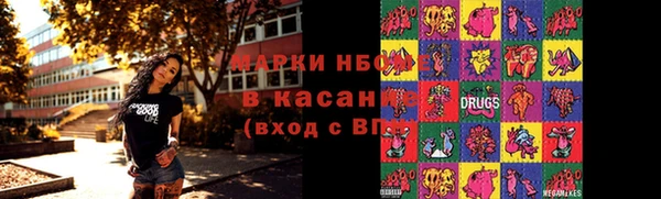 индика Михайловка