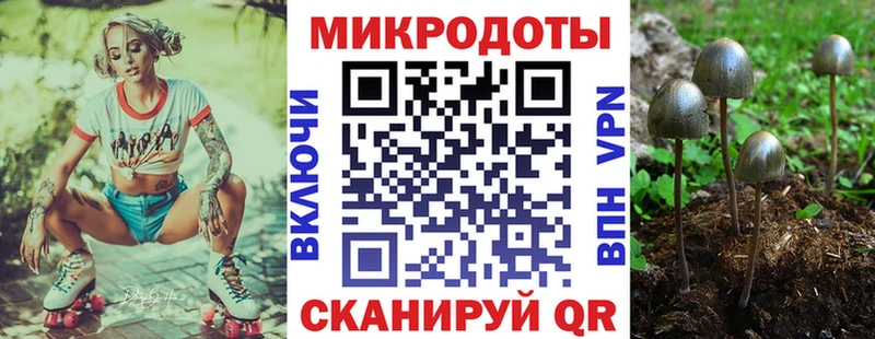 что такое   Инза  Галлюциногенные грибы GOLDEN TEACHER 